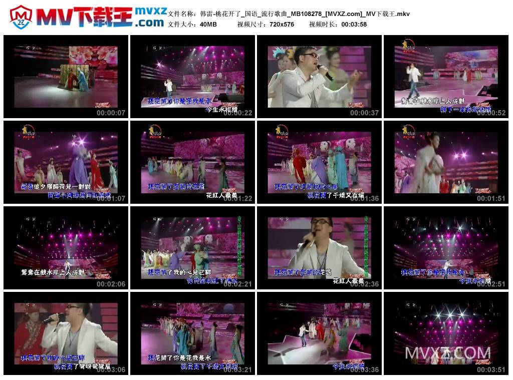 韩雷-桃花开了_国语_流行歌曲_MB108278